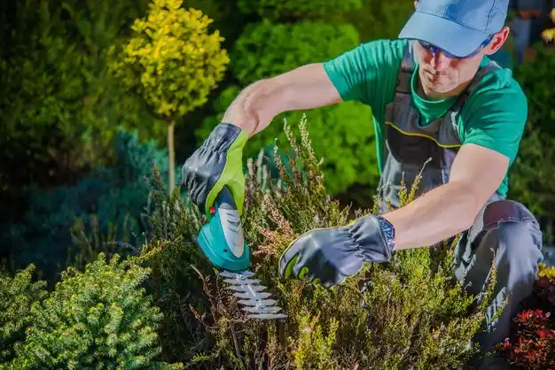 landscaping services Paincourtville